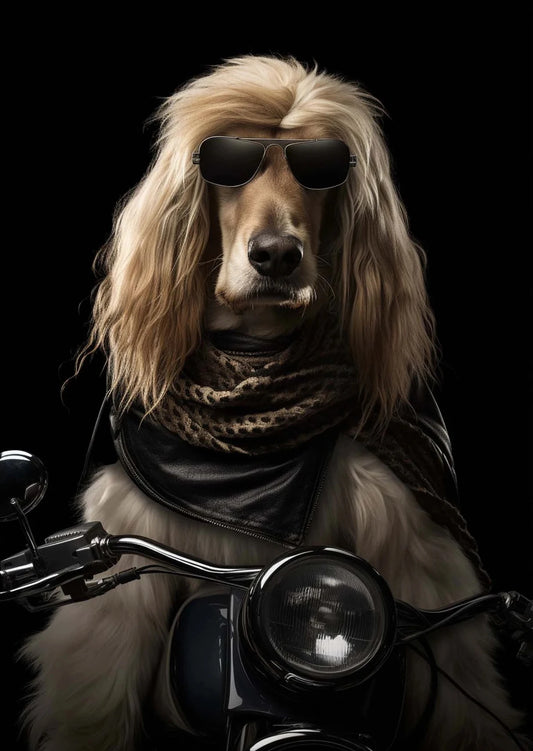 Funny Dog &amp; Cat Riding a Motorcycle Poster – Nordic Style Canvas Wall Art for Living Room Decor (Unframed)